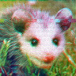 Meet your Posher, Possum